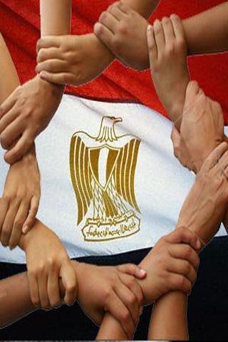 دستور مصر 2012截图1