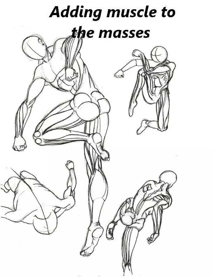 Sketches of anatomy截图4