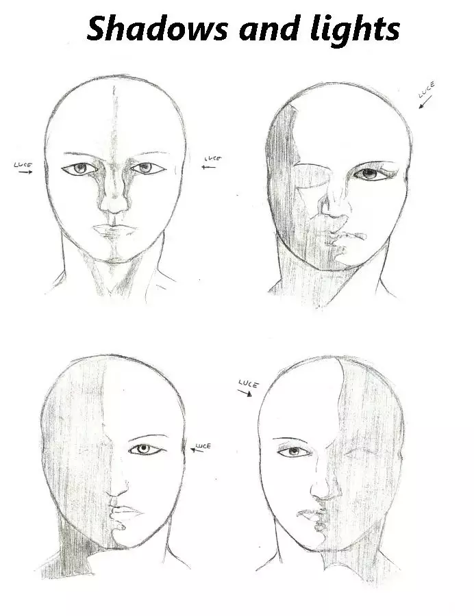 Sketches of anatomy截图6