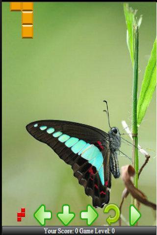Butterfly Wings截图4