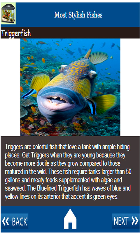 Fish Aquarium Fundas截图2