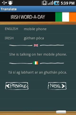 Learn Irish截图3