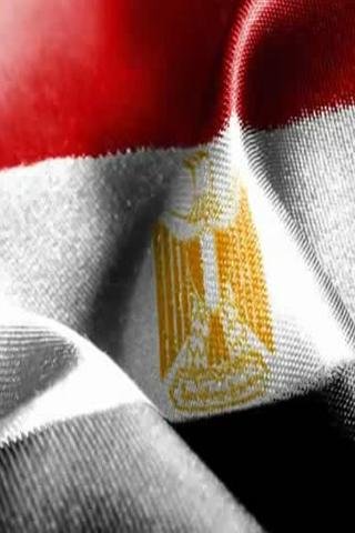 دستور مصر 2012截图2