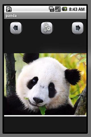 panda截图1