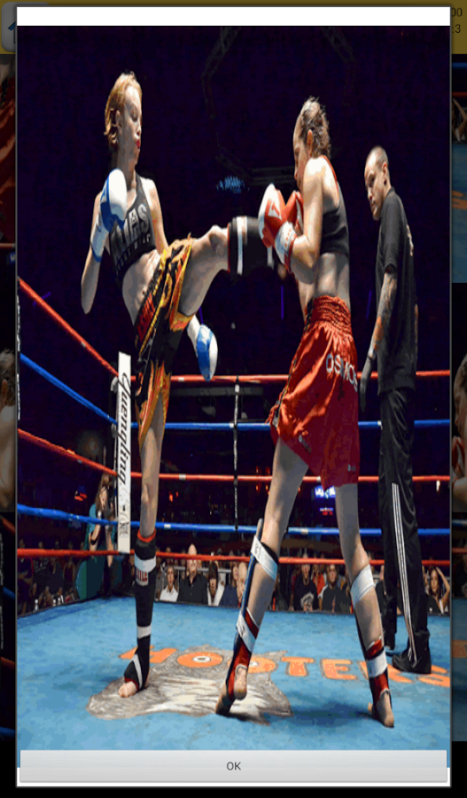 Kickboxing Games截图11