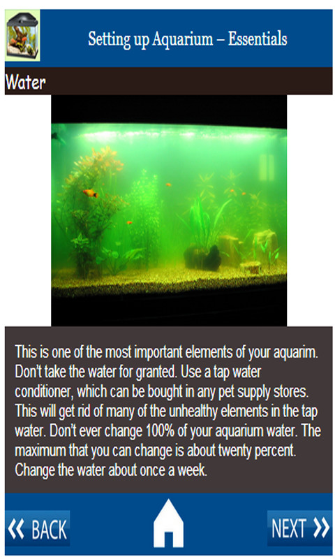 Fish Aquarium Fundas截图3
