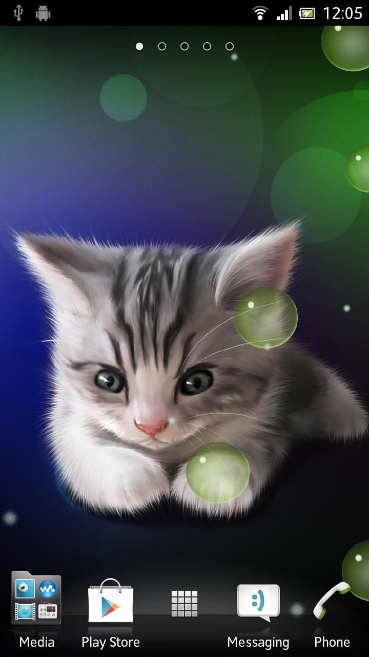 Sleepy kitten live wallpaper截图2