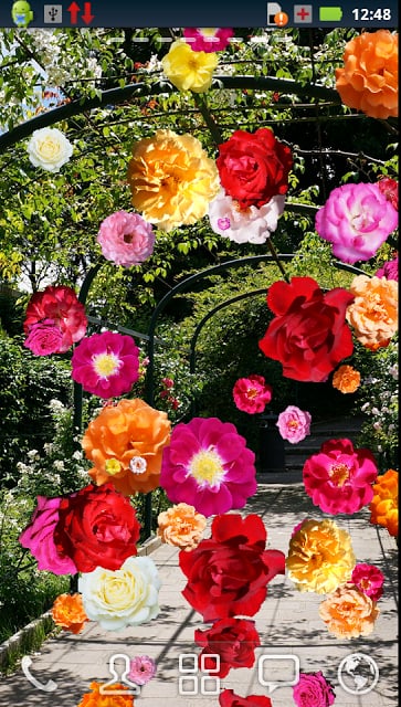 Roses of Rome Live Wallpaper截图3