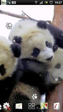熊猫宝宝的LWP截图
