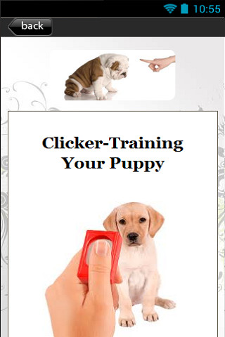 Puppy Training Basics截图3