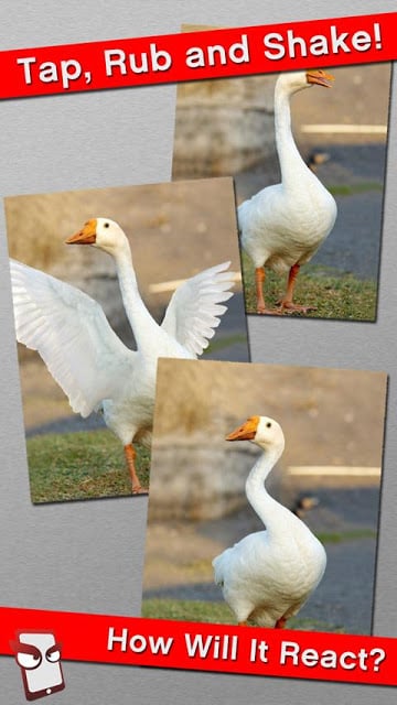 Angry Goose Free!截图1