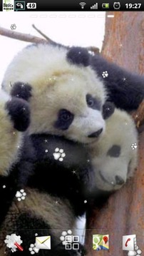 熊猫宝宝的LWP截图