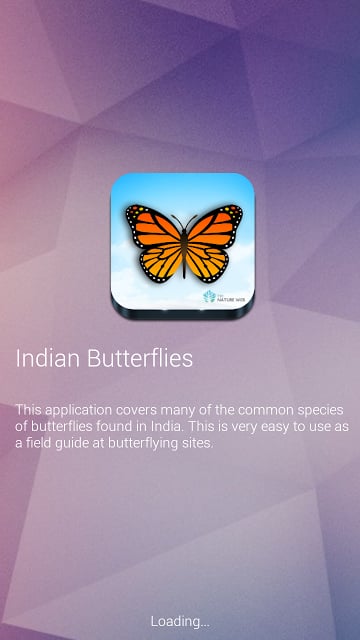 Indian Butterflies截图3