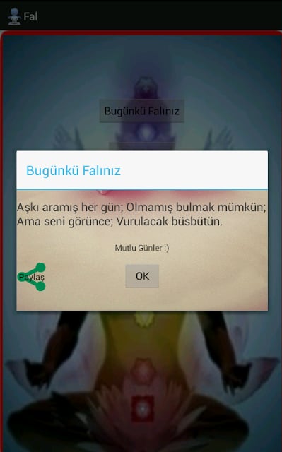 G&uuml;nl&uuml;k Fal Bur&ccedil;截图4