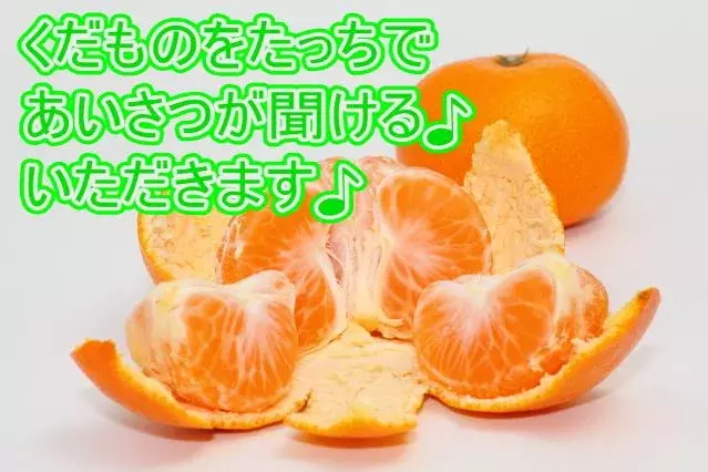 kids fruit japanese study截图7