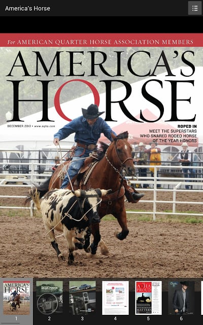 America's Horse截图1