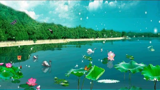 Lotus Pond 3D Live Wallpaper截图2