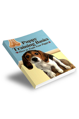 Puppy Training Basics截图1