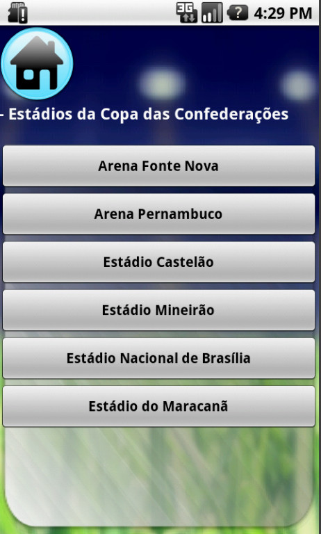 Copa das Confederacoes截图3