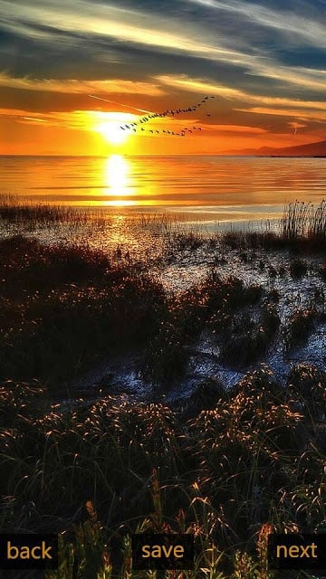 Inspic Sunrise Wallpapers HD截图2