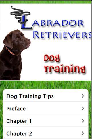 Pitbull Dog Training截图1