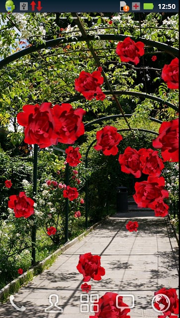 Roses of Rome Live Wallpaper截图5