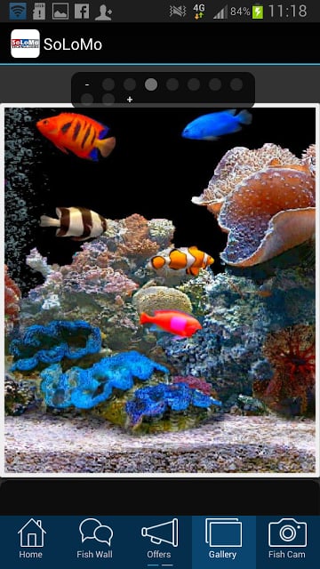 That Aquarium Shop Singapore截图3