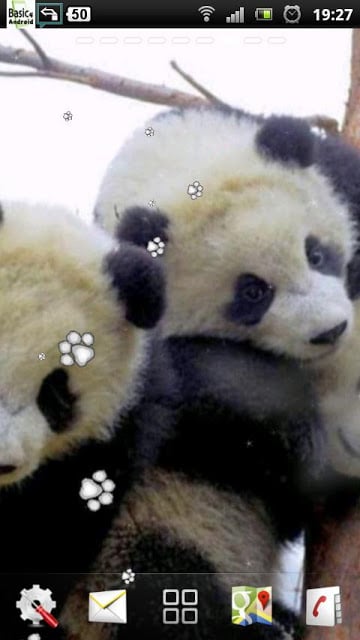 熊猫宝宝的LWP截图1
