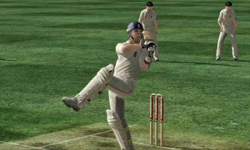 Cricket Game 2015截图4