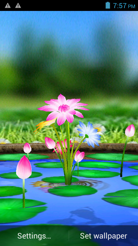 3D Flowers Touch Wallpaper截图1