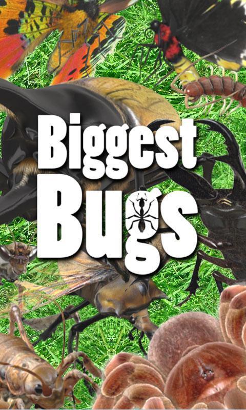 Biggest_Bugs_free截图1