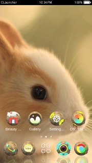 Bea rabbit Theme截图4