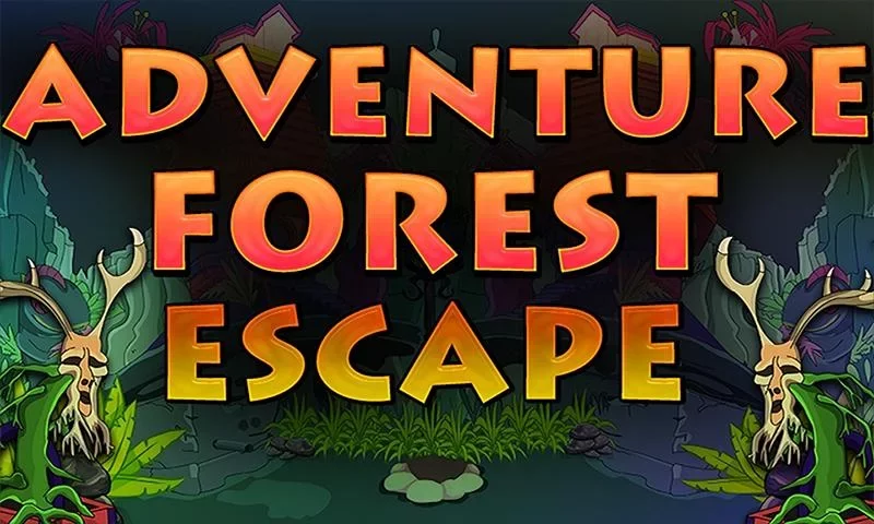 656 Adventure Forest Escape截图1