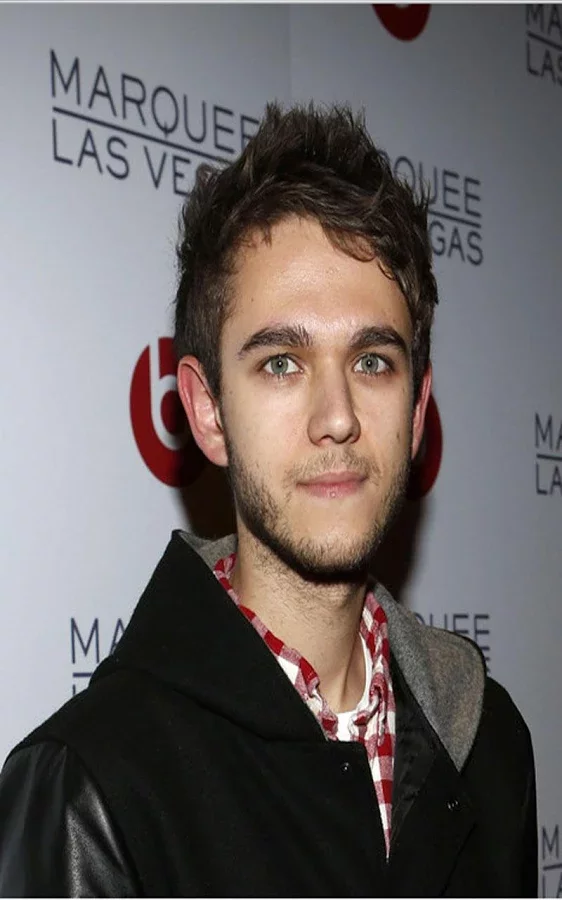 Zedd Fans (Games)截图4