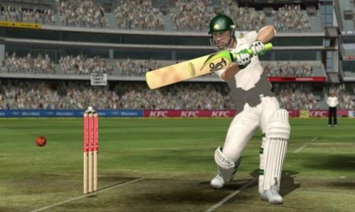 Cricket Game 2015截图2