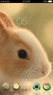 Bea rabbit Theme截图3