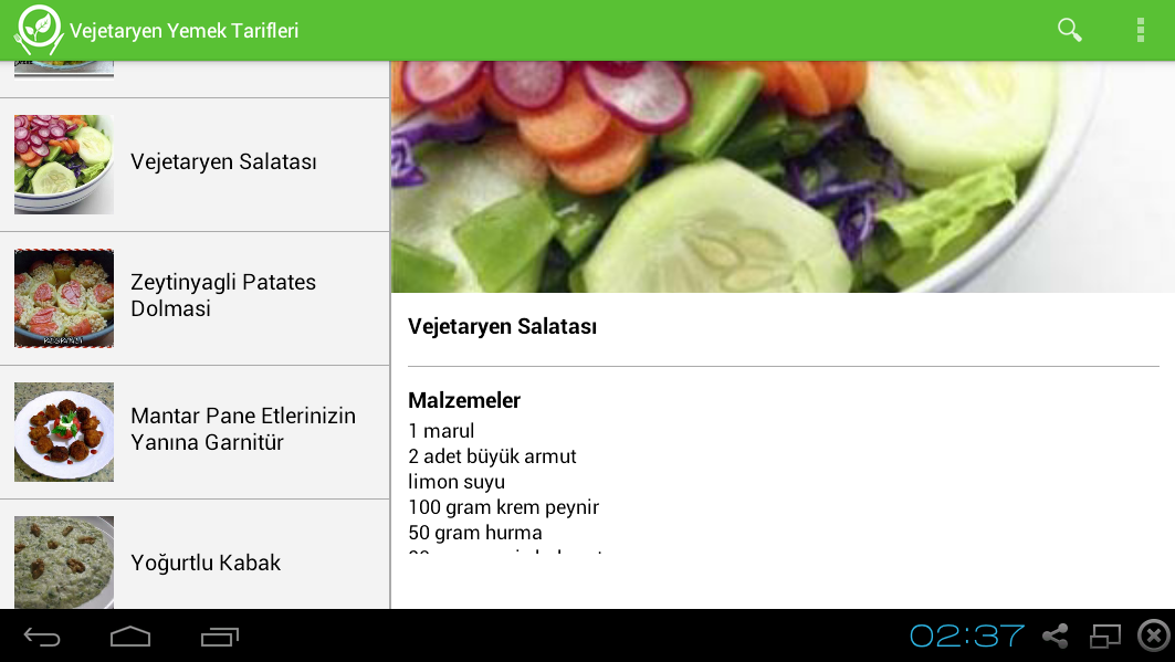 Vejetaryen Yemek Tarifleri截图4
