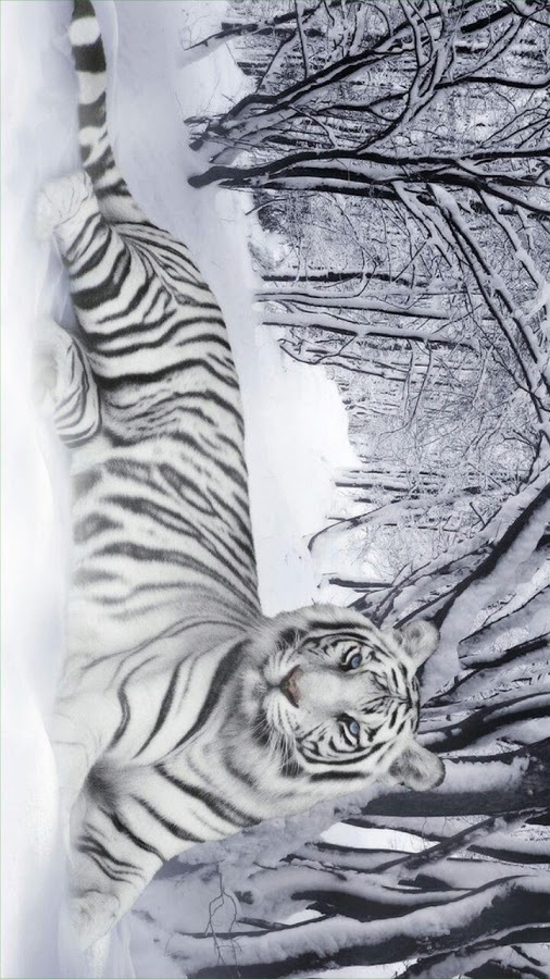 YAGS Jigsaw: Wild Animals截图4