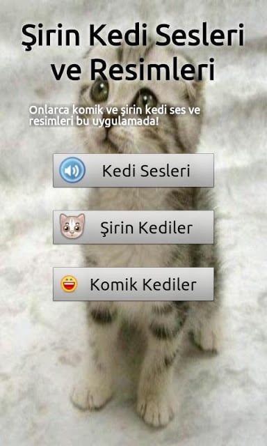 Kedi Sesleri截图1