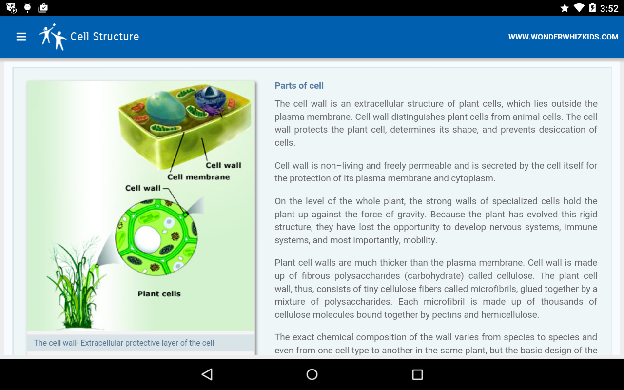 Cell Structure截图3