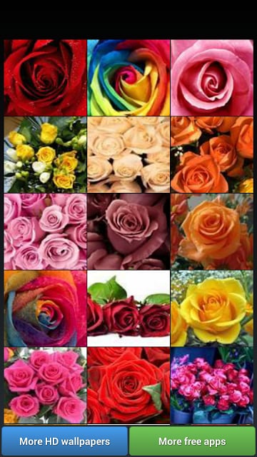 Beautiful Roses HD Wallpapers截图6