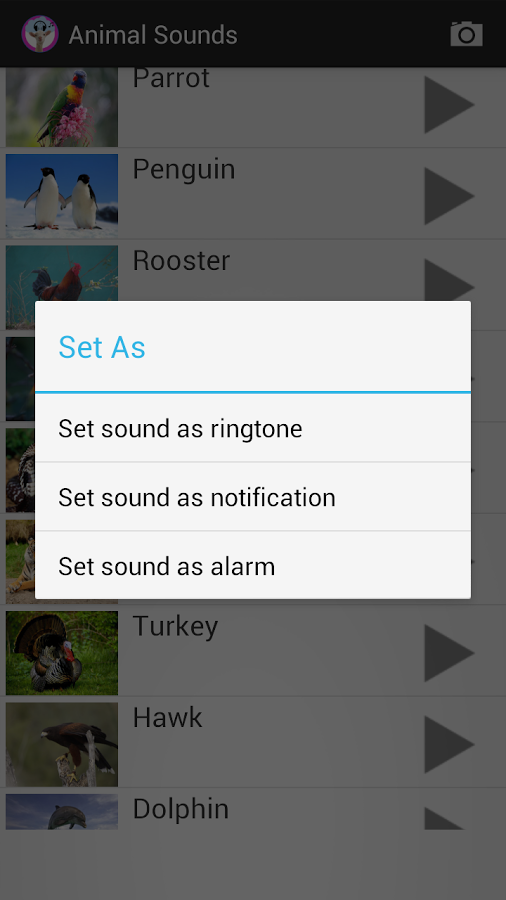 Animal Sounds - Ringtones截图8