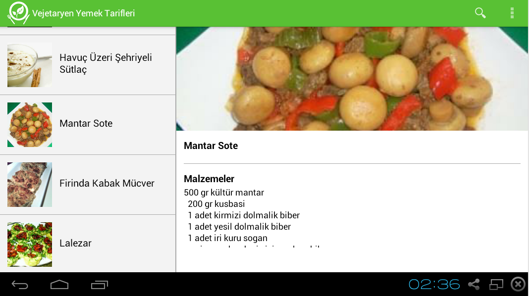 Vejetaryen Yemek Tarifleri截图2