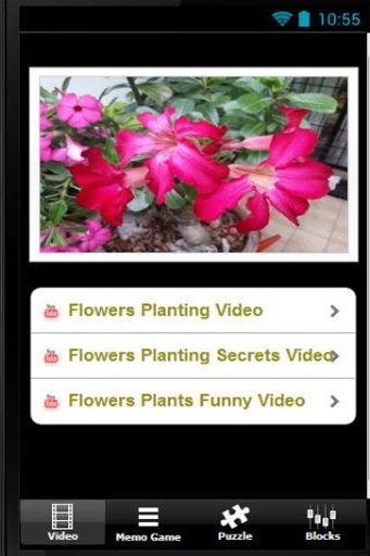 Plants Love Flowers截图1