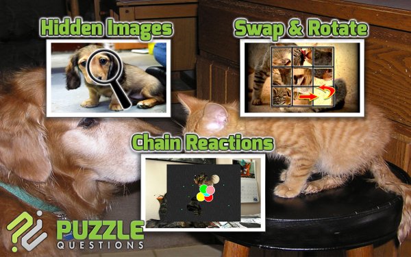 Free Dogs and Cats Puzzles截图1