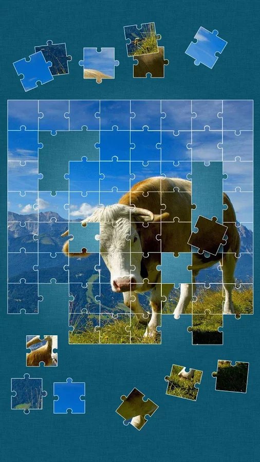 Cows Jigsaw Puzzle截图4