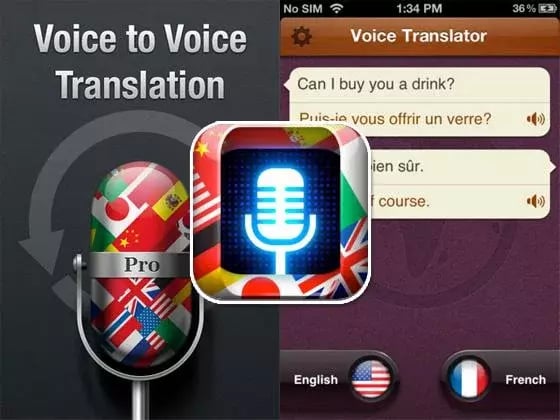 voice Translator Pro截图2