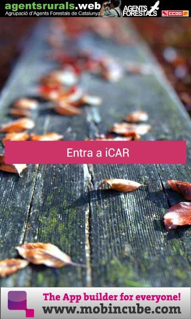 iCAR forestals截图4