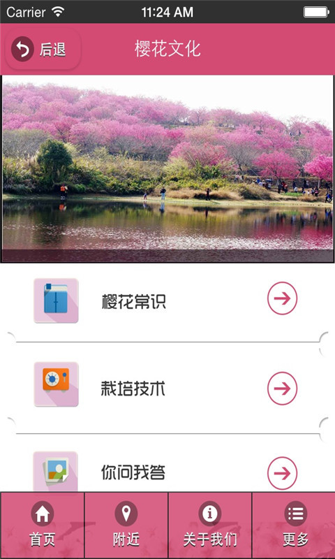 华中樱花截图4