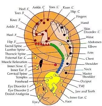 Acupressure Points截图1